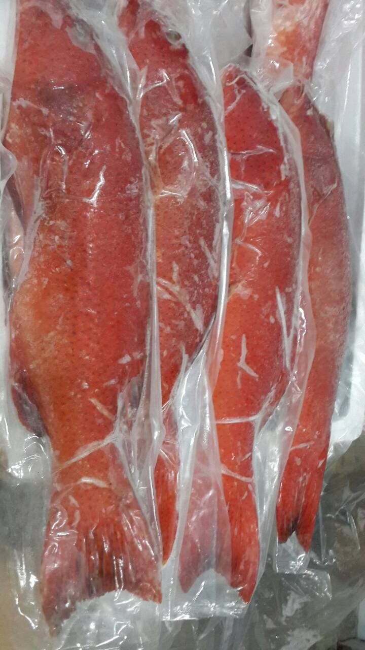 红条 规格:     产地:台湾,大陆,泰国     售价:     调理方式